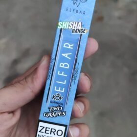 Elf bar Disposable Shisha Double Apple photo review